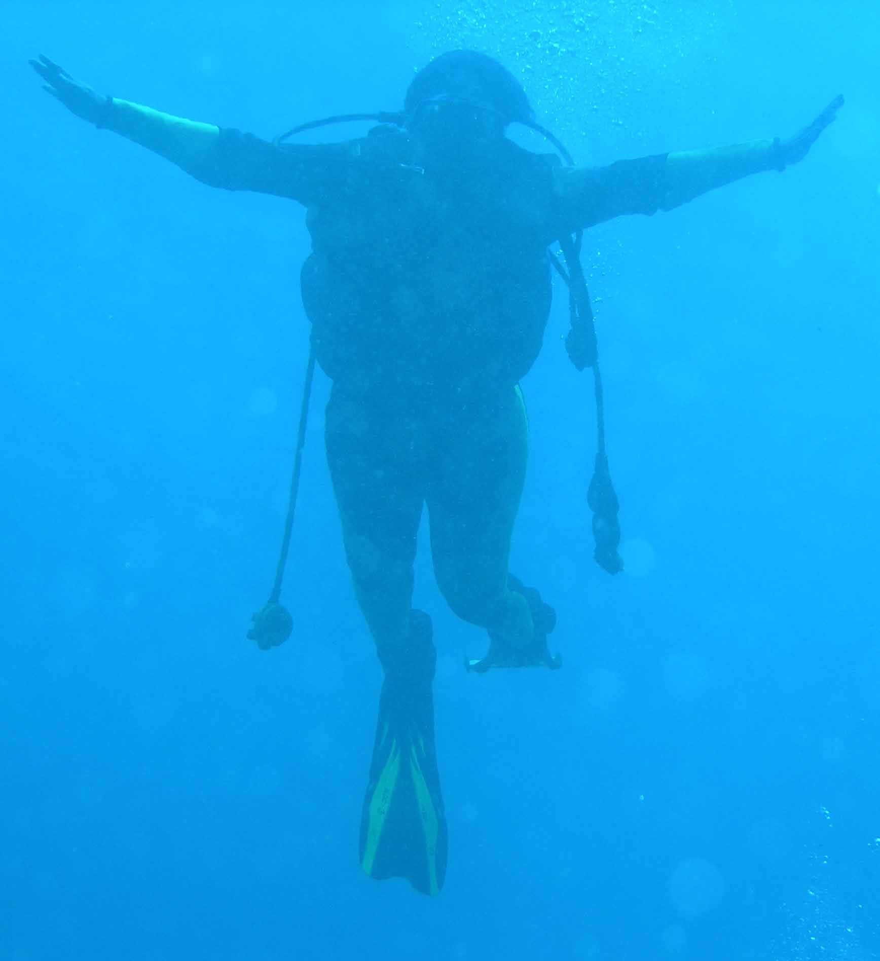 diving-sndr