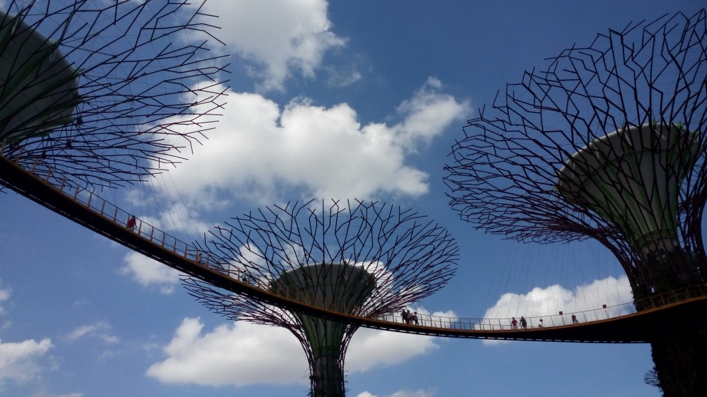 OCBC Skyway @ Gardens by the Bay