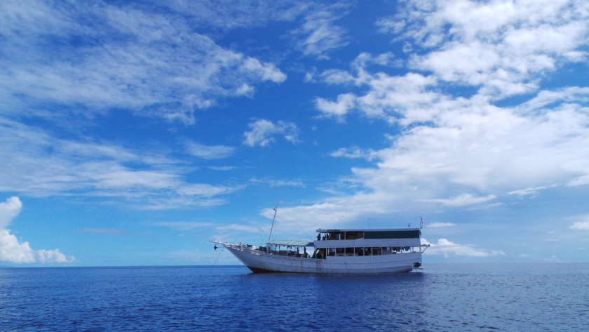 Ekspedisi WWF ke Pulau Koon
