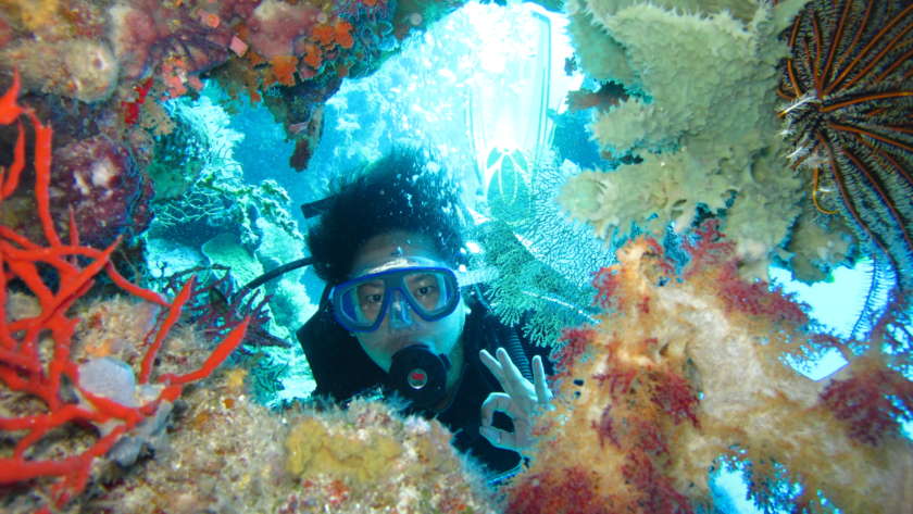 5 situs diving favorit di Indonesia