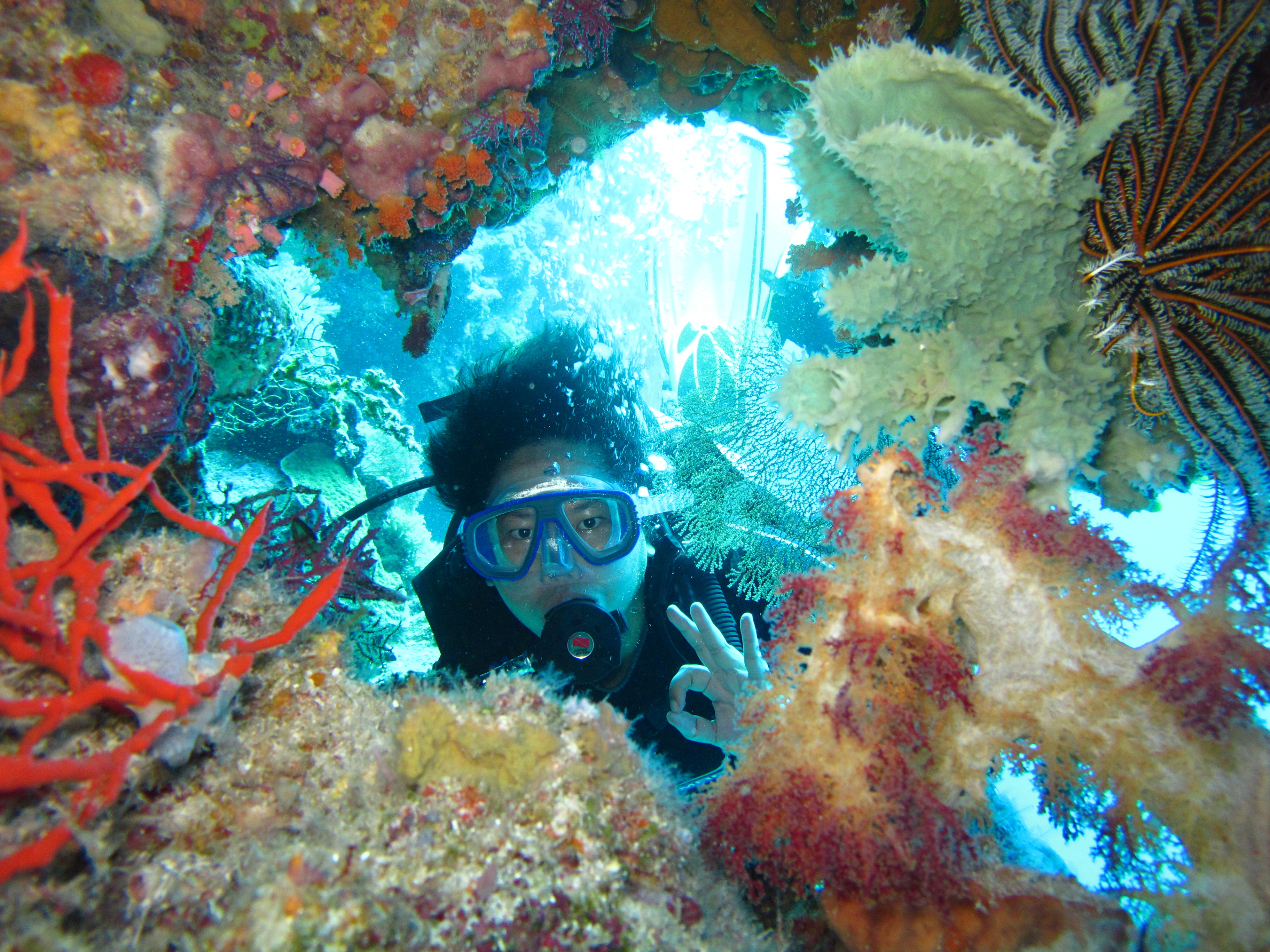 5 situs diving favorit di Indonesia