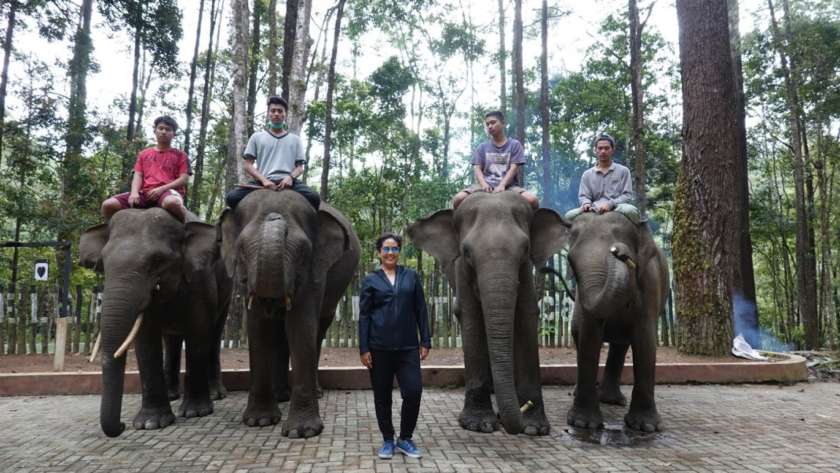 Salim sama Luis Figo, si gajah Sumatera
