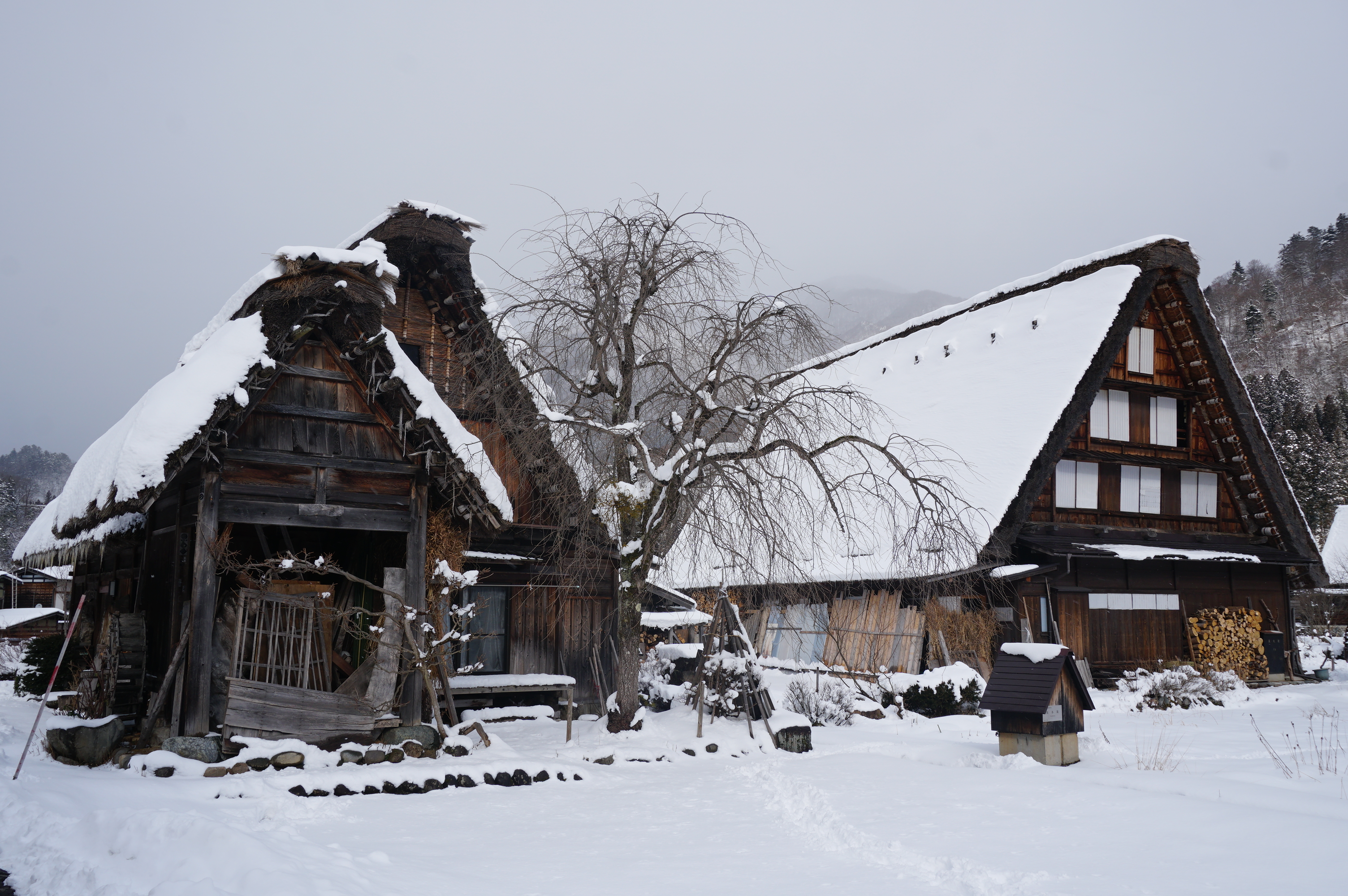 Cantiknya Shirakawa-go dan Jepang Tengah pada musim dingin